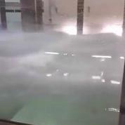 L'université de Miami développe un simulateur d'ouragans