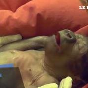 La naissance très rare d'un bébé gorille par césarienne émeut le Royaume-Uni