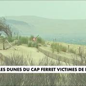 Cap Ferret : une solution pour lutter contre l'érosion sur la côte