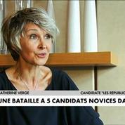 Législatives 2017 : Des élections atypiques dans l'Aude
