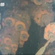 Un robot sous-marin filme l'intérieur du réacteur de Fukushima