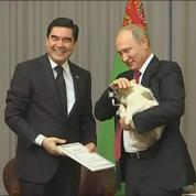 Vladimir Poutine se fait offrir un chiot par le Turkménistan