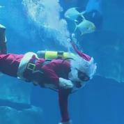 L'Aquarium de Paris accueille un Père Noël plongeur