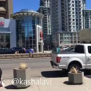 Canada: une camionnette renverse une dizaine de piétons
