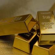 Roanne : un couple doit restituer les lingots d'or trouvés dans son jardin