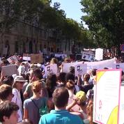 Marche pour le climat : 50 000 Français dans la rue pour l'environnement