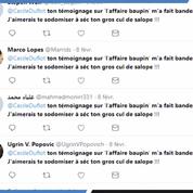 Affaire Baupin : Cécile Duflot harcelée sur Twitter après son témoignage