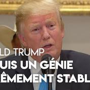 «Je suis un génie extrêmement stable», affirme Donald Trump sans sourciller