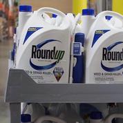 Qu'est-ce que l'herbicide Roundup et pourquoi fait-il polémique ?