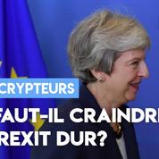UE : faut-il craindre un Brexit dur?