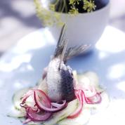 Sardines et concombre marinés au sel