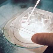 Des scientifiques chinois modifient génétiquement des embryons humains