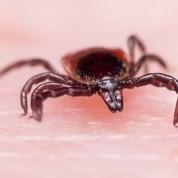 Mieux diagnostiquer la maladie de Lyme
