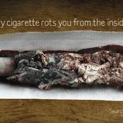 Les fumeurs sont pourris de l'intérieur