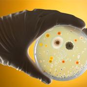 Les bactéries résistantes tueront-elles bientôt 10 millions de personnes par an ?