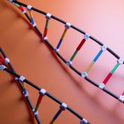 Tests génétiques: il est urgent d'ouvrir le débat