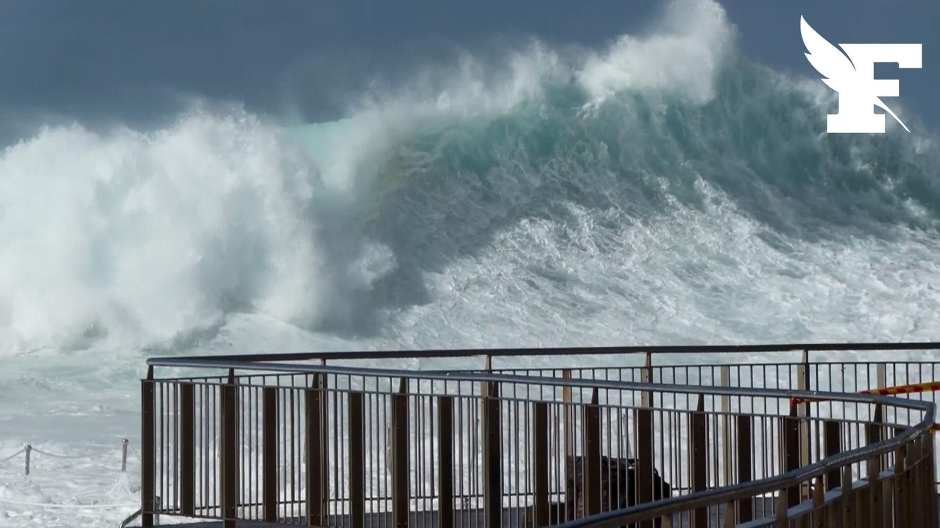 Australie: les images des vagues meurtrières qui déferlent à Sydney