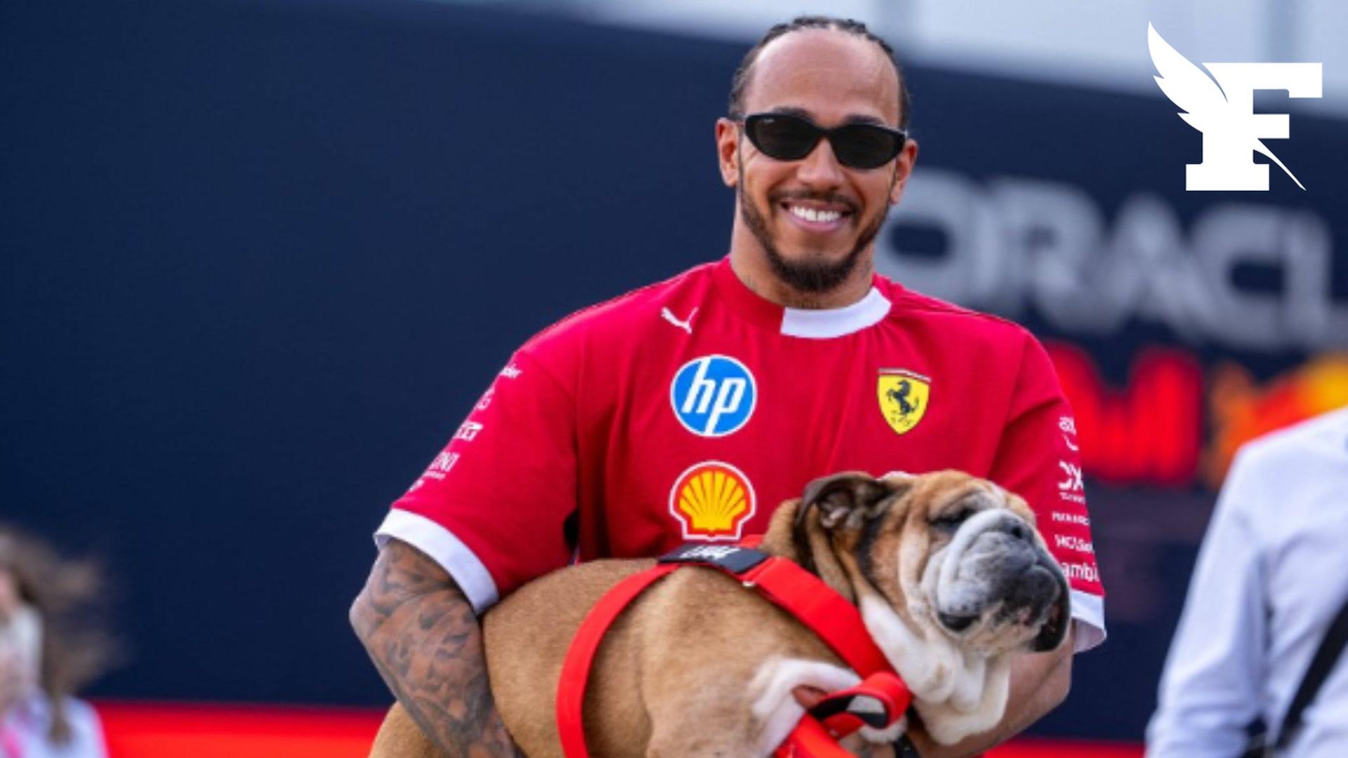 «Repose en paix, Roscoe»: la formule 1 adresse ses condoléances à Lewis ...