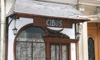 Restaurant  Cibus