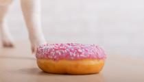 Krispy Kreme, la chaîne américaine de donuts, ouvrira sa première boutique en France fin novembre