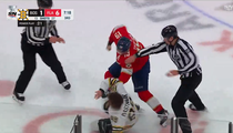 Hockey, NHL: en vidéo, une bagarre explose entre un joueur des Panthers et des Bruins