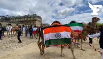 «On attendait cet événement depuis un mois» : à Paris, l’insolite défilé de chameaux et de dromadaires rassemble des centaines de personnes