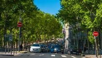 «L'abaissement de la vitesse a permis de réduire le nombre d'accidents» : à Lyon, les écologistes vantent le passage à 30 km/h en ville