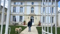 En Gironde, un médecin urgentiste à la retraite sauve des vignes de l’arrachage