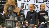 Strasbourg : l'agrément du centre de primatologie retoqué par la justice