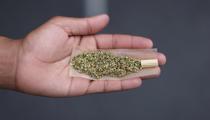 États-Unis : le cannabis bientôt reclassé comme une drogue moins dangereuse, selon une source proche des autorités