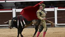 Corrida : le torero Roman Collado gravement blessé en plein combat