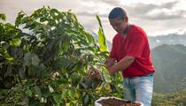 Le commerce équitable, une réponse «claire» à la colère des agriculteurs, selon l’ONG Max Havelaar