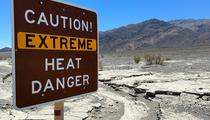 La chaleur extrême risque de tuer cinq fois plus d'humains d'ici 2050
