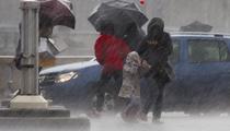 Roissy inondé, foudre sur la Tour Eiffel, vignoble du Chablis ravagé : les images des terribles orages qui ont frappé la France