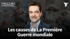 Juillet 1914 : cet engrenage qui a conduit à la première guerre mondiale