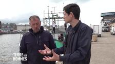 Au large de Fécamp, les pêcheurs face au défi des éoliennes en mer