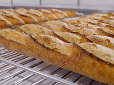 Du pain coûte que croûte