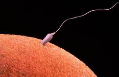 Une maladie génétique transmise par don de sperme