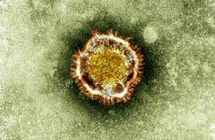 Le nouveau coronavirus en huit questions