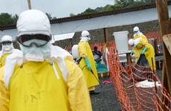 Une première Française contaminée par le virus Ebola