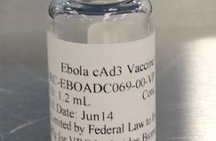 Virus Ebola : la Grande-Bretagne cherche des cobayes humains pour tester un vaccin