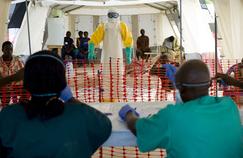 La Guinée célèbre la fin d'Ebola