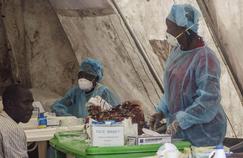 Ebola: «On pourrait voir en France des cas importés »