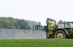 Pesticides: les risques pour les agriculteurs mieux évalués