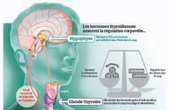 La thyroïde en mal de prévention 