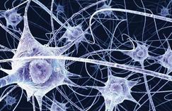 Créer des neurones à partir de cellules de la peau 
