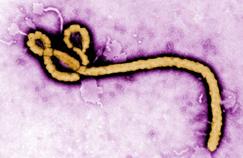 Le virus Ebola fait 10 morts en RDC 