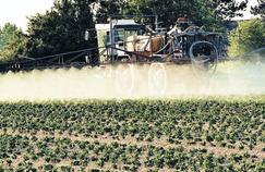 Europe : très peu de pesticides dans les aliments
