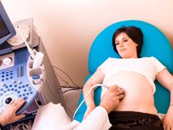 Echographies de la grossesse