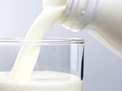 Allergie aux protéines du lait